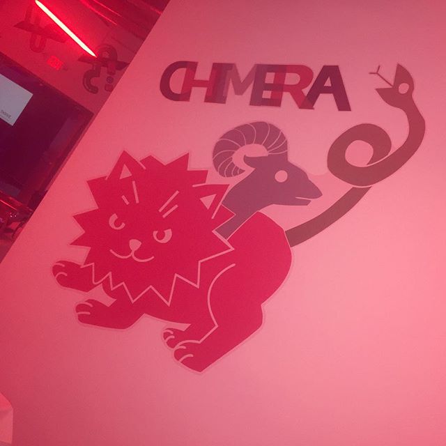  Walls360 Custom Wall Graphics for Meow Wolf Grand Opening in Santa Fe, New Mexico